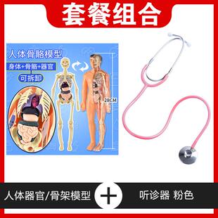 人体结构器官模型骨骼3d骨架全身可拆卸拼装儿童医学启蒙解剖玩具
