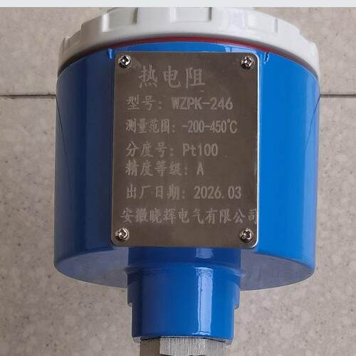 热电阻WZPK-246测温范围-200~450℃分度号PT100法兰套管安装