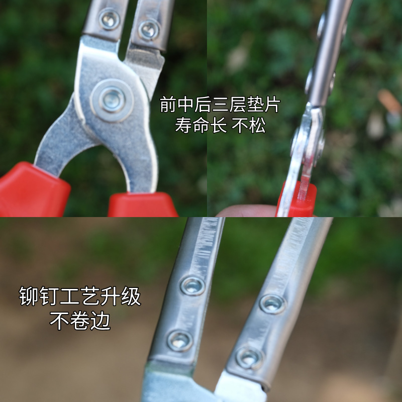 不锈钢黄鳝鳝鱼泥鳅螃蟹尖嘴钳