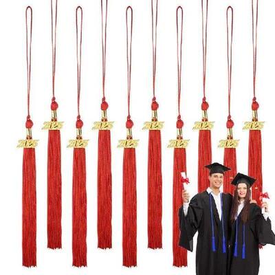 Tassels for Graduation Cap 2025 Graduation Cap Tassel 10X