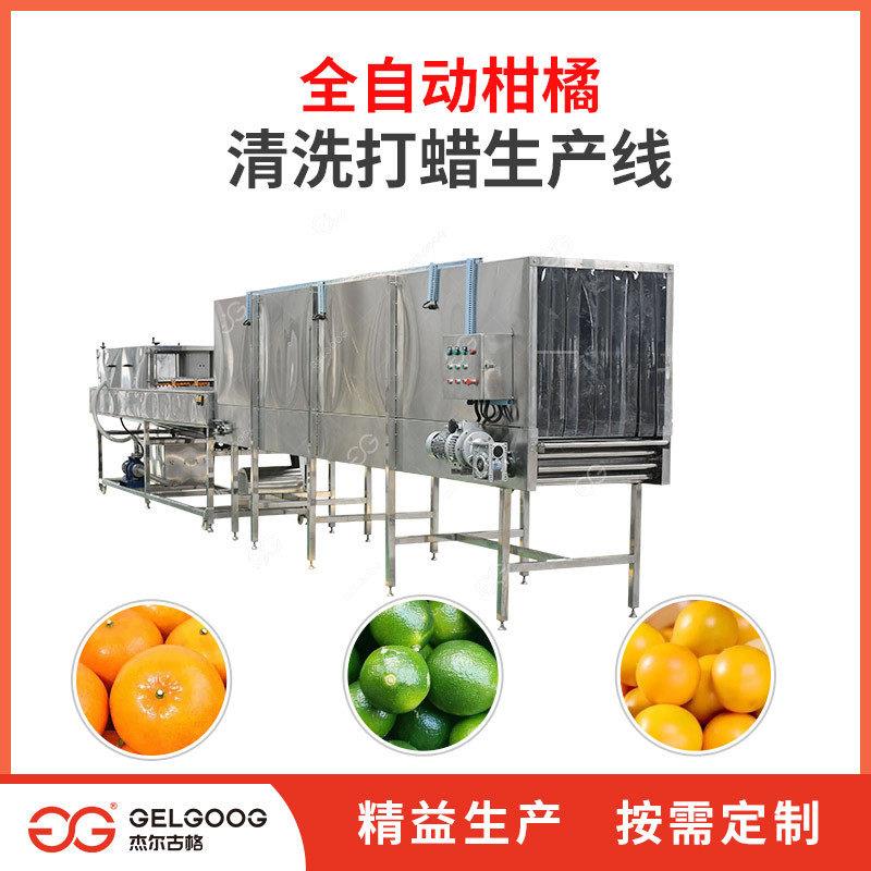 瓜果清洗风干流水线 芒果清洗打蜡分选全套机械设备 芒果清洗机