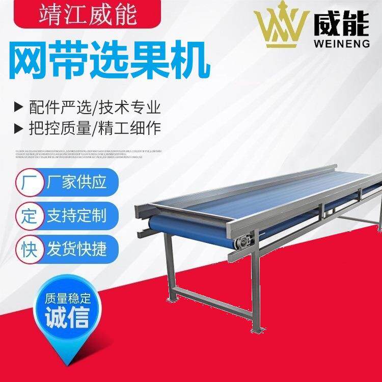 厂家直销大型工业商用苹果梨桃子橙子柚子网带果机检果机
