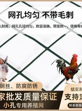 定制小孔围栏鸡鸭养殖网防蛇鼠荷兰网加厚铁丝隔离网子果园种植网