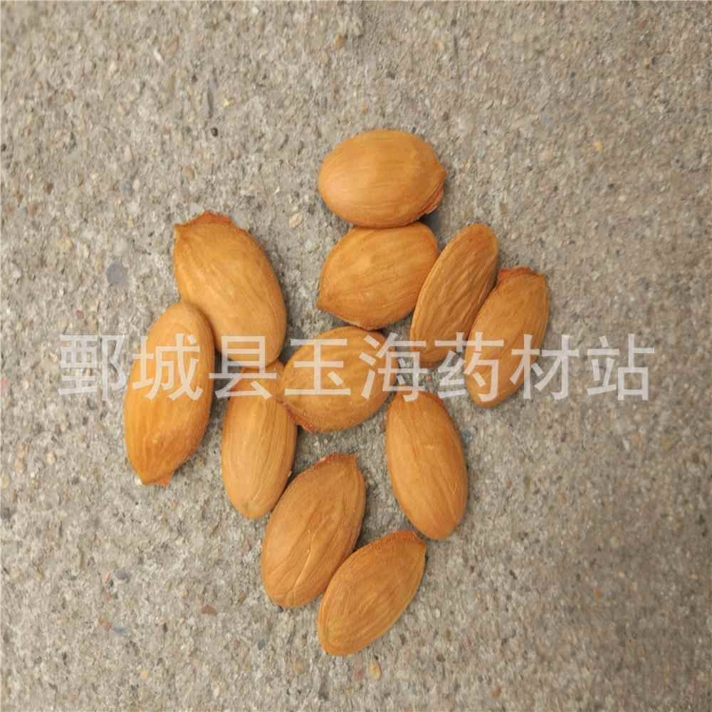 桃仁 家桃仁 玉海药材各种中药材