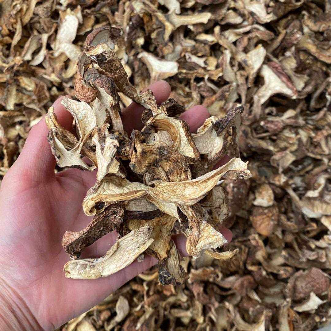 云南特产藏区野生青杠菌青冈菌青岗菌鸡丝菌干片素食菇500g青杆菌