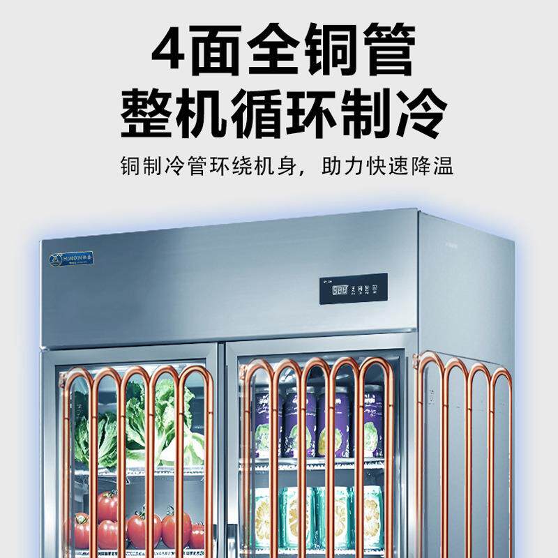 焕鑫风冷冷藏展示柜商用双门冷冻陈列柜啤酒冰箱冷饮柜食品留样柜