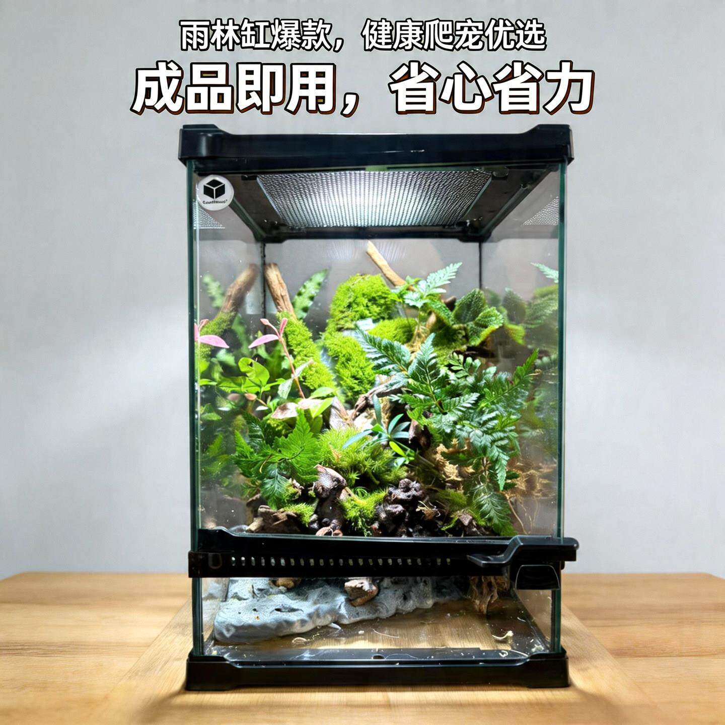 爬宠雨林生态缸造景成品桌面微景观爬虫玻璃缸全套守宫树蛙饲养箱