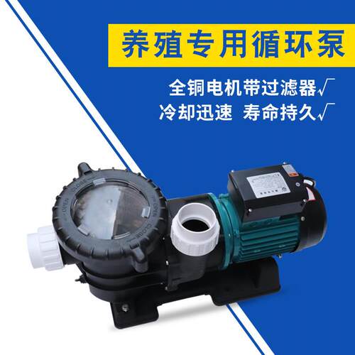 广东凌霄水泵STP50-STP300海水泳池专用泵水池循环泵温泉浴池鱼池