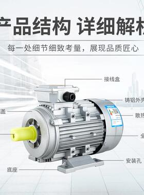 2极wSY三相异步铝壳电机0.75kw1AIQ千.1kw1.5瓦2.2kw3kw4k铝壳电