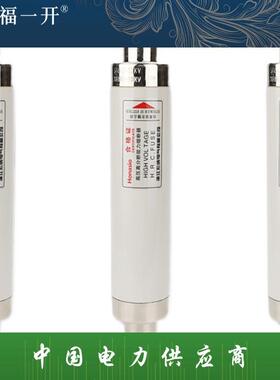 高压限流熔断器XRNT10-12KV10A20A40A50A63安80A100A箱变保险管丝