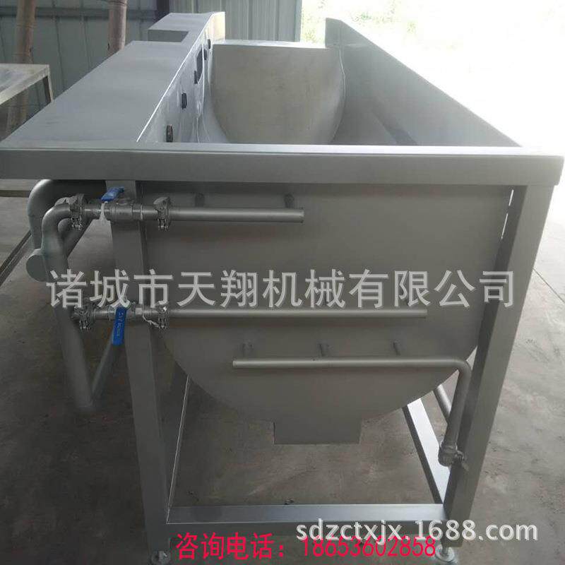 天翔牌涡流洗菜机叶菜清洗设备厂家生产蔬果清洗设备