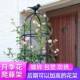 玫瑰爬藤架月季 植物架子 铁线莲阳台庭院绿植铁艺花架户外攀爬欧式