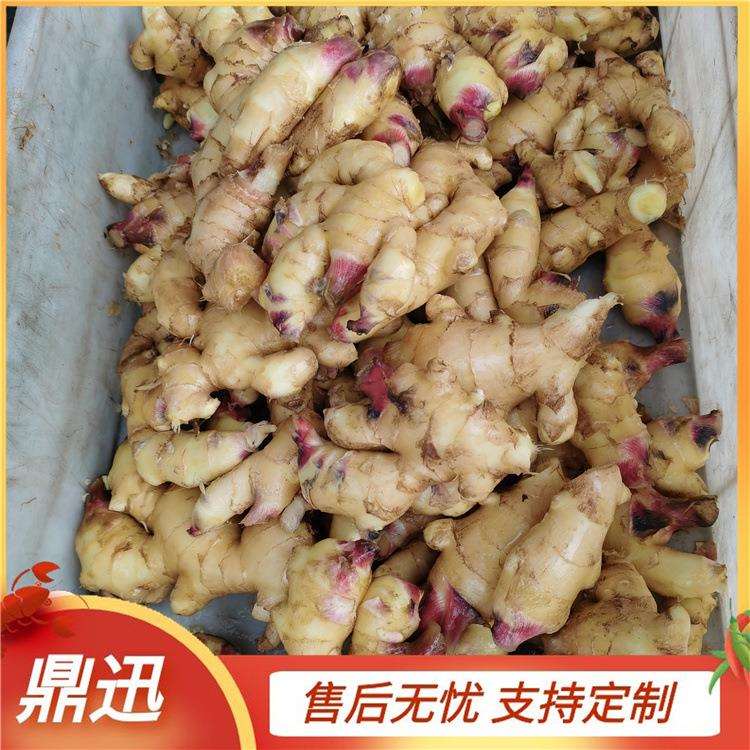 蔬菜自动清洗机果蔬清洗机鼎迅机械多功能洗菜机