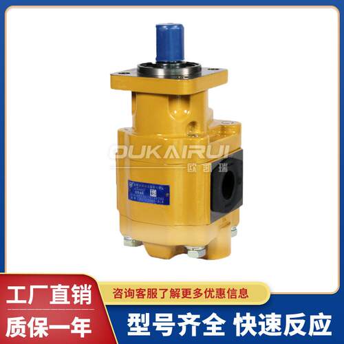 合肥液压齿轮油泵CBGTC2080-BLHCBGTC2063-BLH高压动力油泵