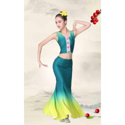 高档族舞蹈儿童演出雀服装功艺考渐变练鱼傣尾裙女成人孔舞表演服