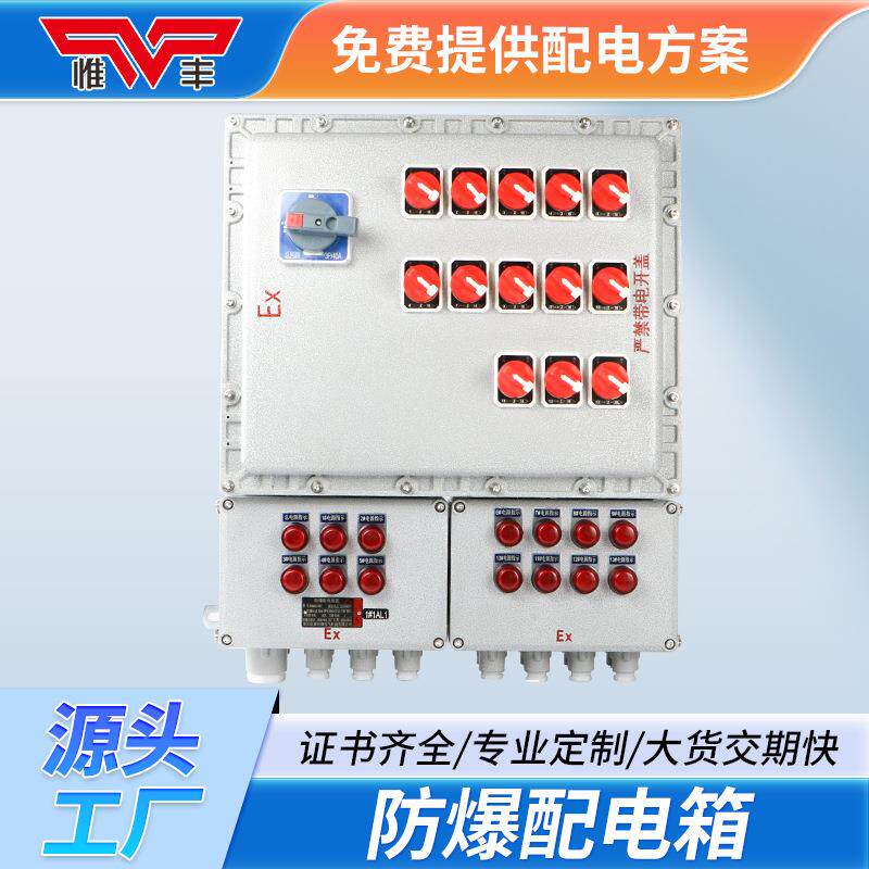配电箱仪表接线插座动力正压按钮控制开关盒检修箱柜防爆工业定制