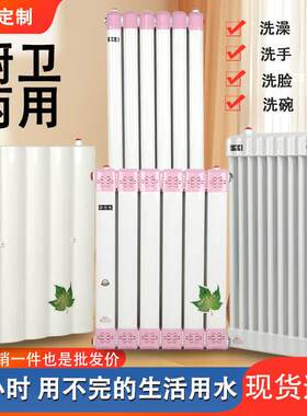 储水式换热器家用卫生间双排20柱过水热交换器取暖气片地暖可洗澡