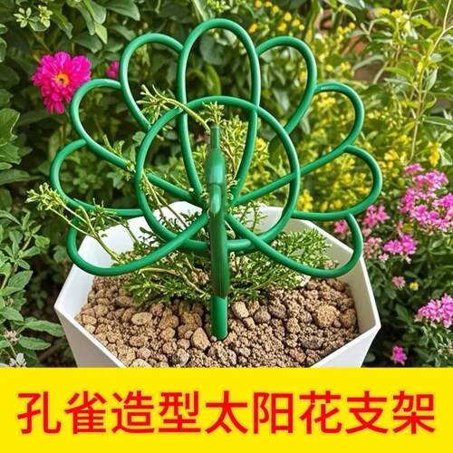 金枝玉叶定型定型架花卉专用支撑架庭院固定架花架子固定绿植