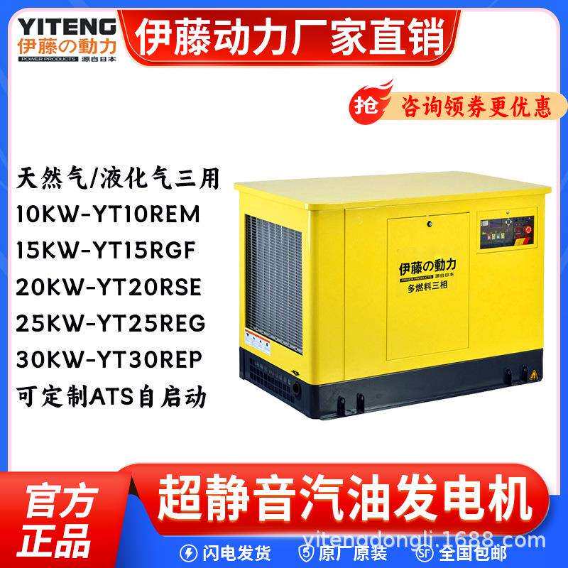 YT15SEW10kw汽油双燃料移动式汽油发电机15KR2箱0KW25KW超静音式