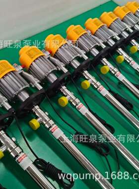 上海旺泉HD-EX2-V-SS316L-1000电动桶泵、电动抽液高速防爆泵