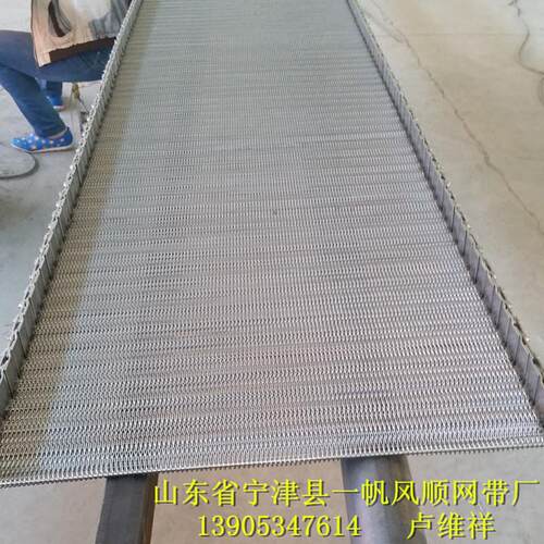 专业定做耐温烘干网带 不锈钢网链输送带