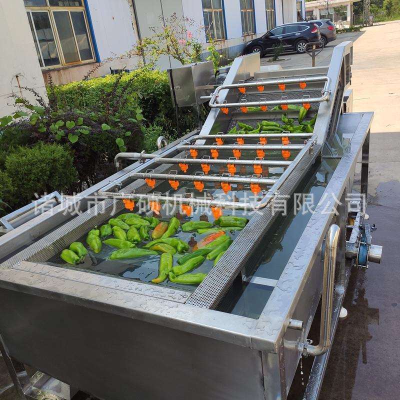 全自动山野菜加工清洗机 网带式腌渍菜脱盐清洗设备 洗酱腌菜机器