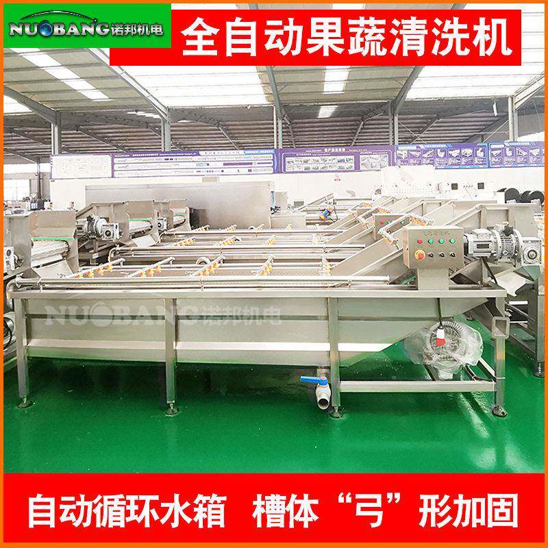 诺邦柿子桑葚清洗机 现货无花果清洗机 气泡加喷淋除渣机