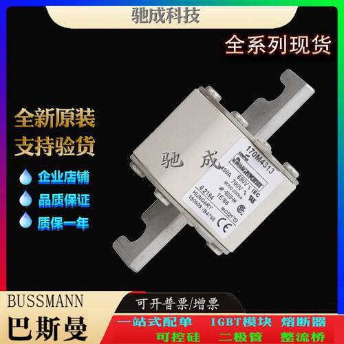 巴斯曼170M4366 170M4367 170M4368 大量现货价格优惠 快速保险丝