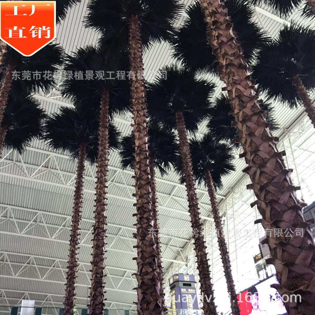高品质仿真棕榈树塑料杆过胶手感叶子扇葵树室内椰子树摆放绿植