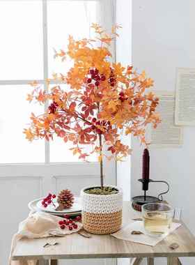 斯依饰真红枫电叶室内绿植装花仿秋天客厅视柜桌面HIT橙色树小盆