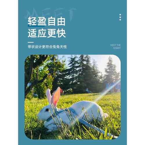 兔子专用牵引绳防挣脱溜兔防挣脱遛绳子宠物小白侏儒兔外出绳用品