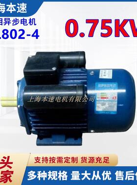 YL802-4 0.75KW 4极单相立式异步电动机220V 单相微型电动机750W