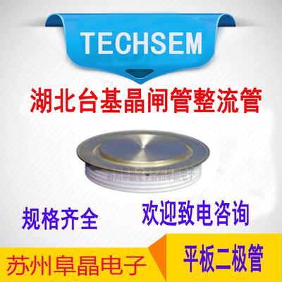 Y60ZKDZK1800A2500-3000V台基晶闸管TECHSEM快恢复二极管