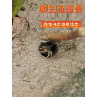 辣椒蟹观赏蟹小螃蟹铺底造景生态泥泥巴河泥打洞微景观造景滩涂泥