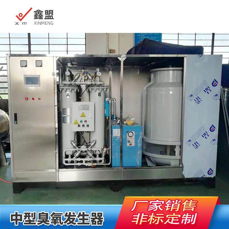 中型臭氧发生器厂家臭氧环保设备空气源氧气源臭氧发生设备