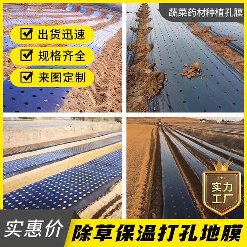 打孔地膜黑地膜银黑地膜农用种植除草羊肚菌专用带孔保温防草薄膜