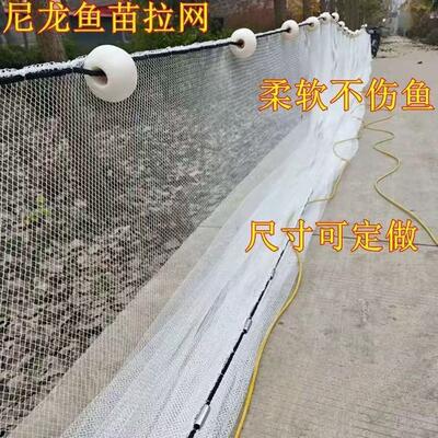 尼龙不伤鱼拉网方格网拉网拖网清塘网渔网小鱼网捕鱼网小虾鱼苗网