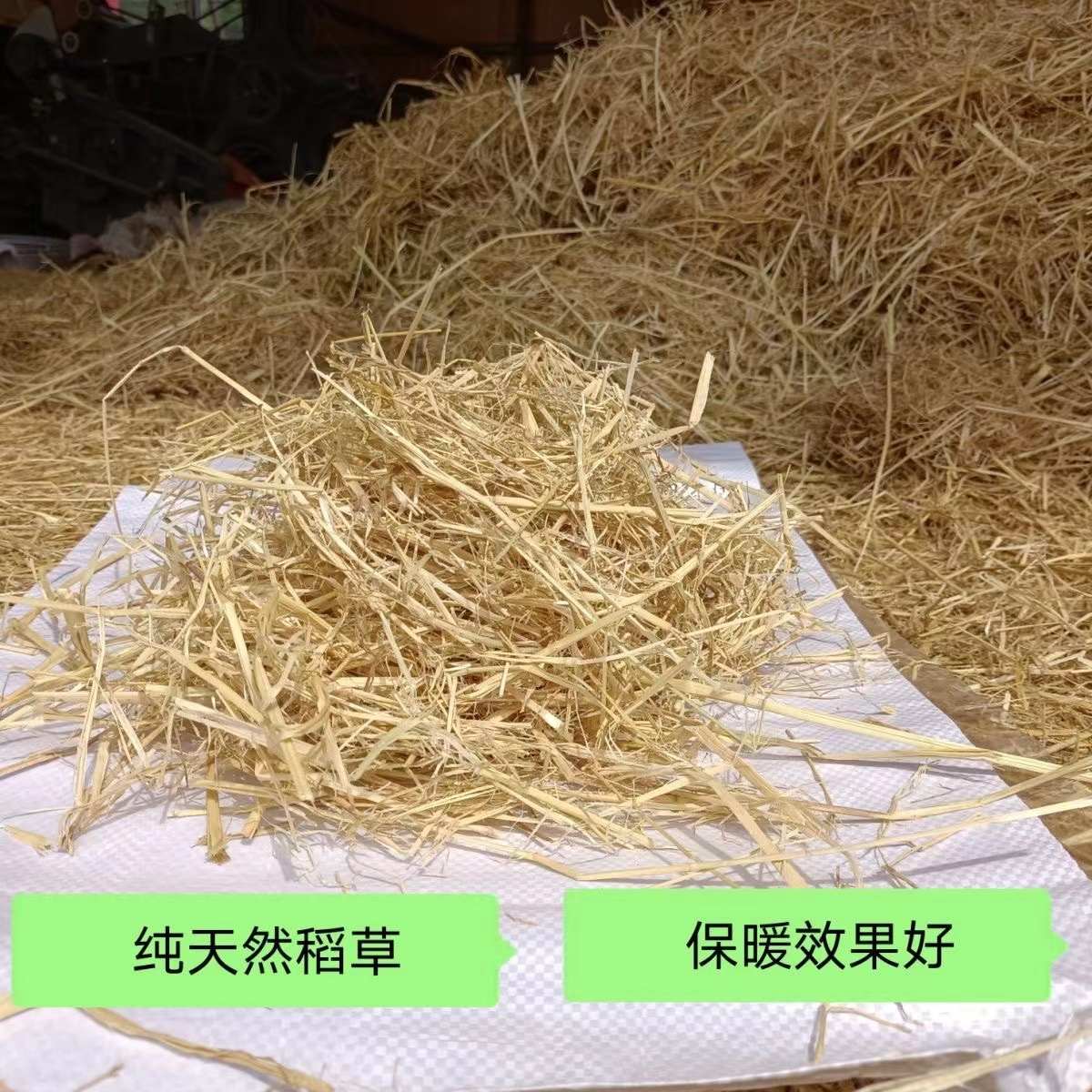 稻草干草垫料兔子过冬天然干稻草秸秆禾杆草保暖牛羊猪饲料狗鸭窝