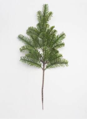仿真植物水杉水松绿植杉树云杉冷杉树红豆杉工程造景假树厂家