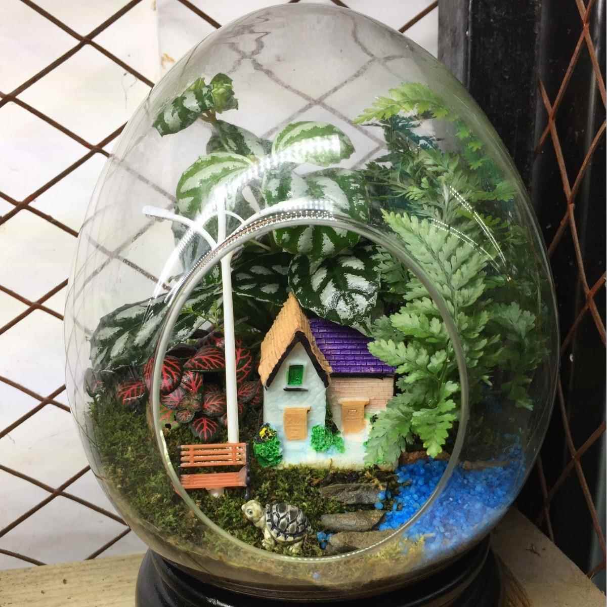 多肉植物玻璃花瓶上斜口玻璃蛋形微景观生态玻璃瓶 苔藓DIY玻璃