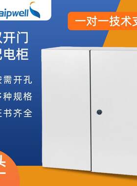 斯普双开门配电柜成套动力柜密封配电箱冷轧钢板设备照明控制柜