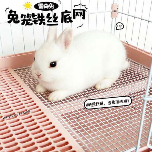 兔笼替换铁底网上厕所不卡便便铁丝底网810/12/16兔笼底网