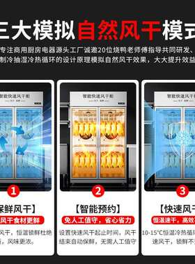 智能频风LT620CF干变烧鸭柜商用不锈钢门晾胚风冷三吹鸭机