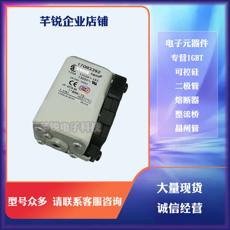 巴斯曼原装熔断器170M3458 170M3459 170M3460 170M3461 170M3462