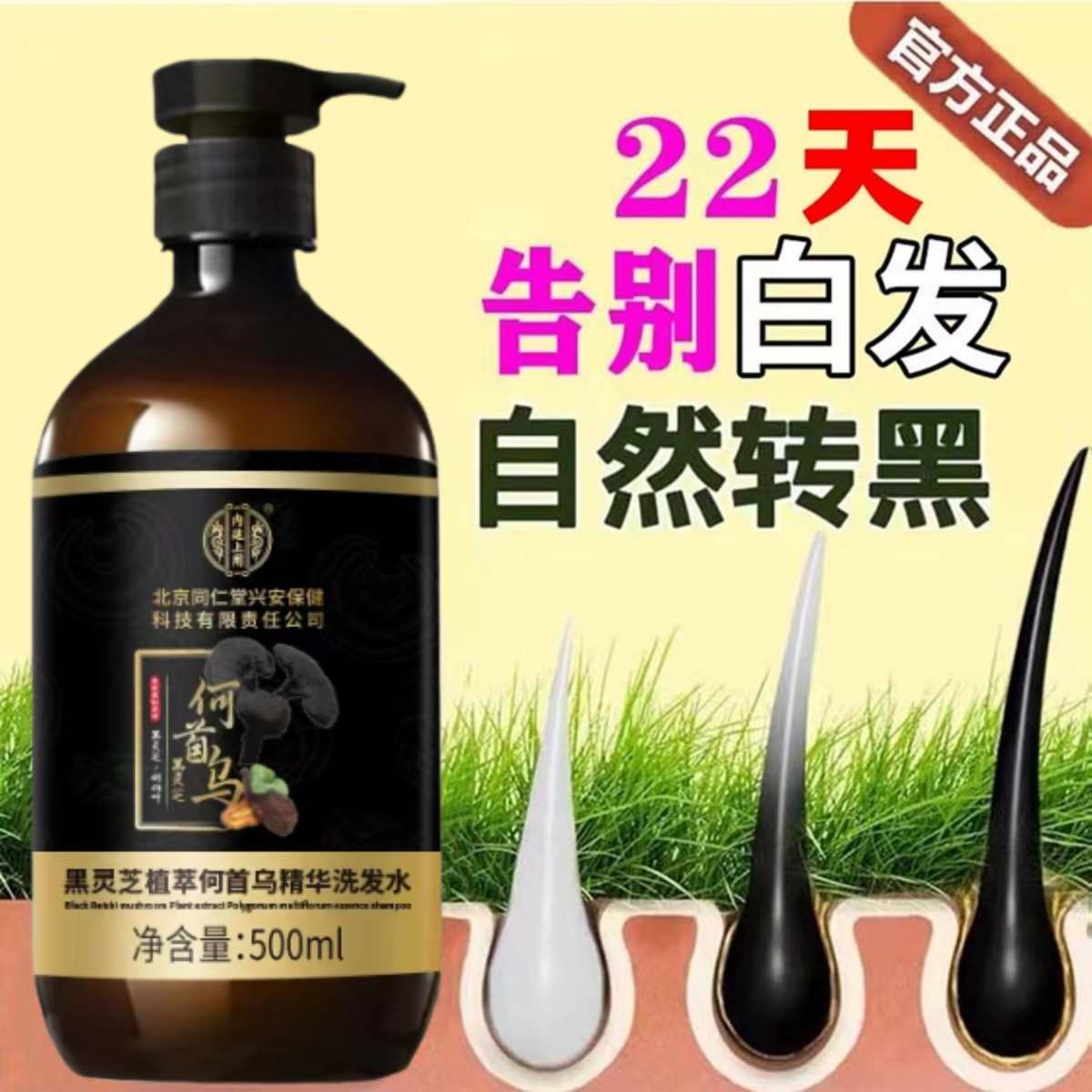 北京同仁堂何首乌白发养黑洗发水黑灵芝侧柏叶去屑纯植物精华液