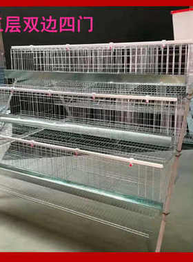 鸡笼子养殖笼家用鸡笼大号特大号养鸡笼子铁网笼子自动下蛋鸡笼网