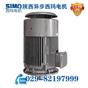 2.2KW泰富西玛三相电机 100L1 YGM2