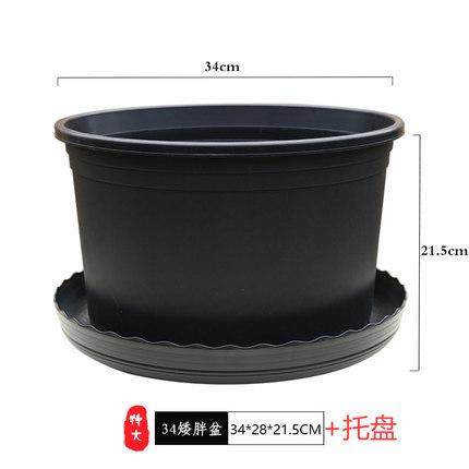 黑加仑花盆花盆园艺用品草莓花瓶