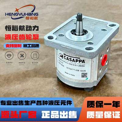 凯斯帕CASAPPA齿轮泵PLP10.3,15D0-81E1-LBB/BA-N-EL-FS液压油泵
