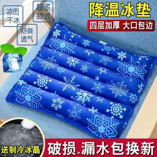 冰枕头充气注水午睡降温夏儿童成人冰枕冰垫水枕头枕头学生冰凉枕